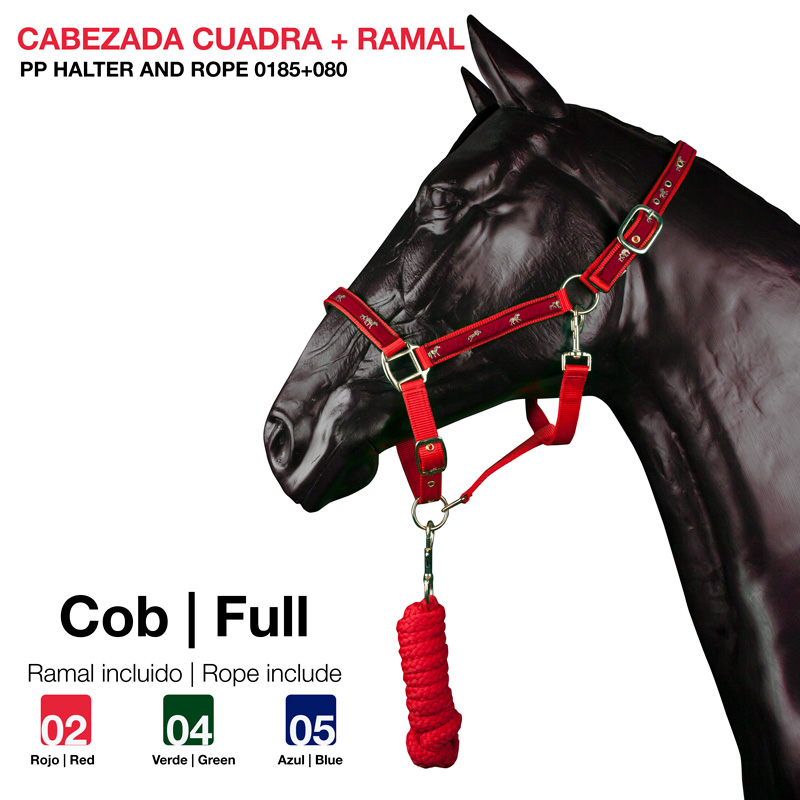 Cabeçada e ramal vermelhos para cavalo mostrados em manequim preto com texto informativo ao lado