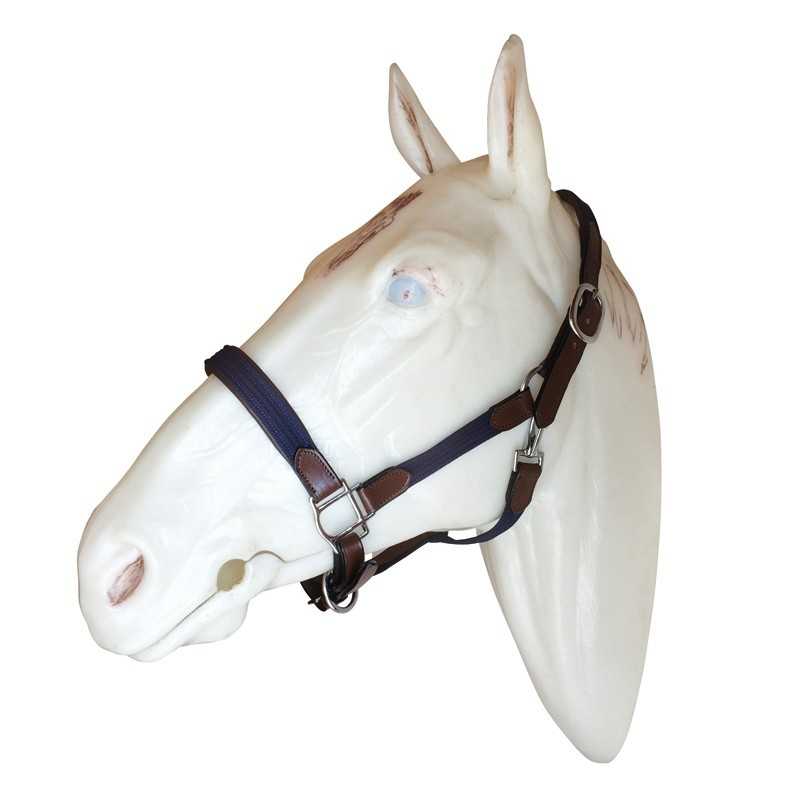 Cabeça de cavalo branca com cabresto azul e castanho