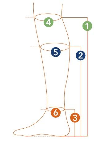 Diagrama esquemático de uma perna humana com pontos numerados