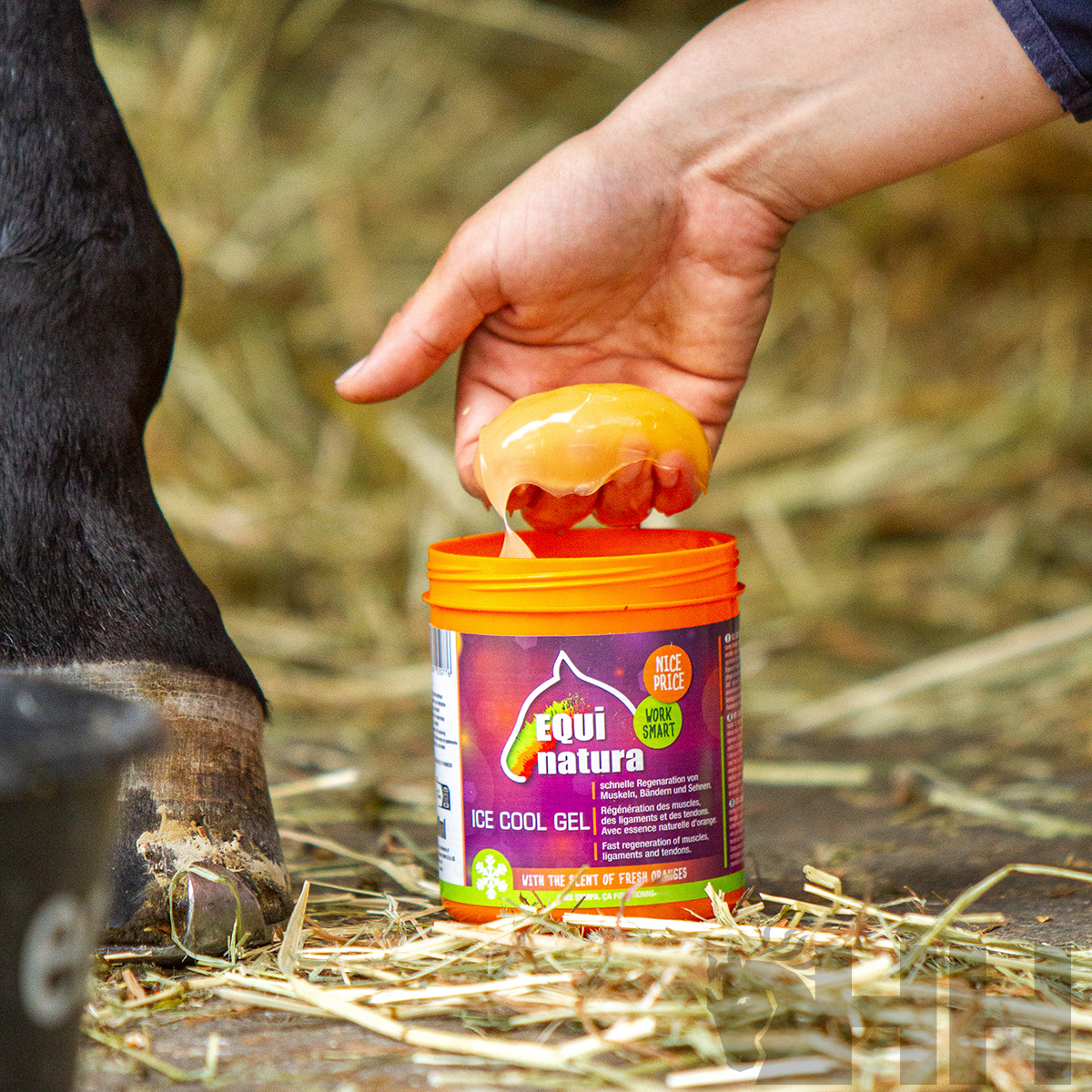Frasco de gel Equi Natura laranja com rótulo colorido ao lado de pata de cavalo e mão retirando gel amarelo