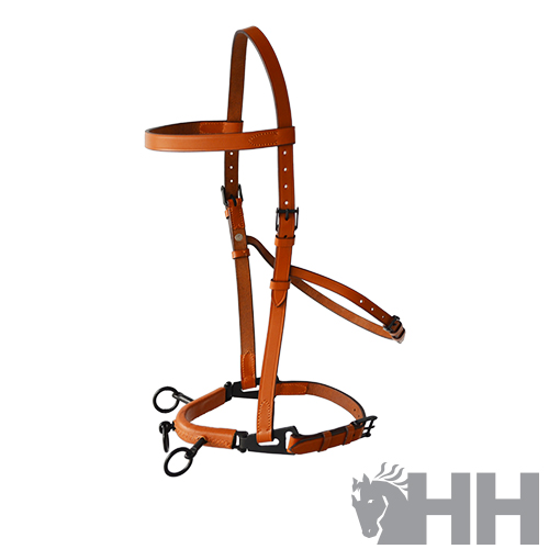 Cabresto de cavalo castanho de couro com argolas e fivelas
