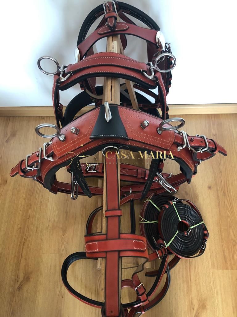 Conjunto de arreios de couro castanho com fivelas metálicas sobre suporte de madeira