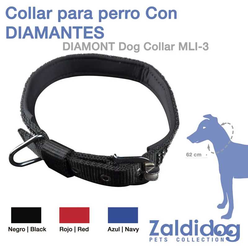 Coleira para cão preta com fivela metálica ao lado de ilustração azul de cão e texto de descrição.