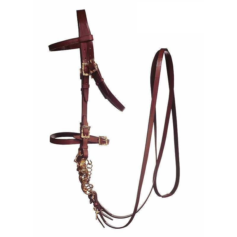 Cabeçada e rédea de couro castanho com fivelas douradas para equitação