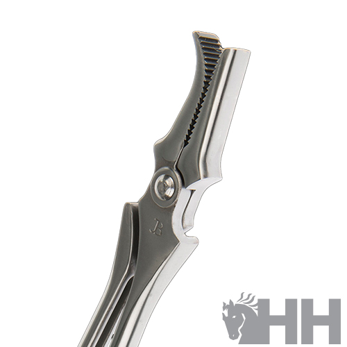 Abraçadeira metálica prateada com dentes serrilhados e parafuso de ajuste