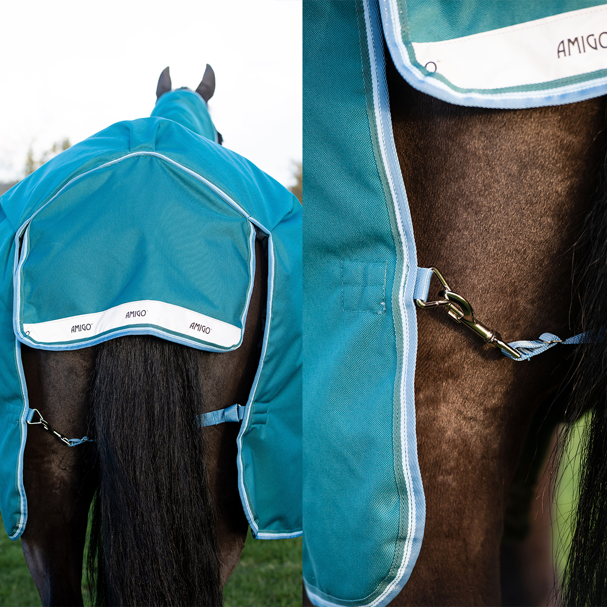 Manta azul para cavalo com fecho metálico e texto AMIGO