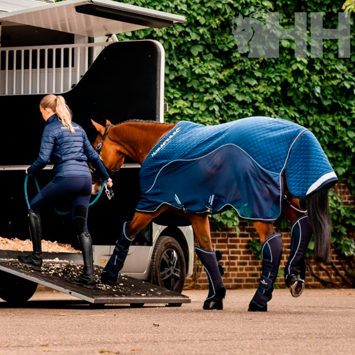 Égua castanha com manta azul a subir para carrinha de transporte de cavalos com mulher de roupa de equitação azul.