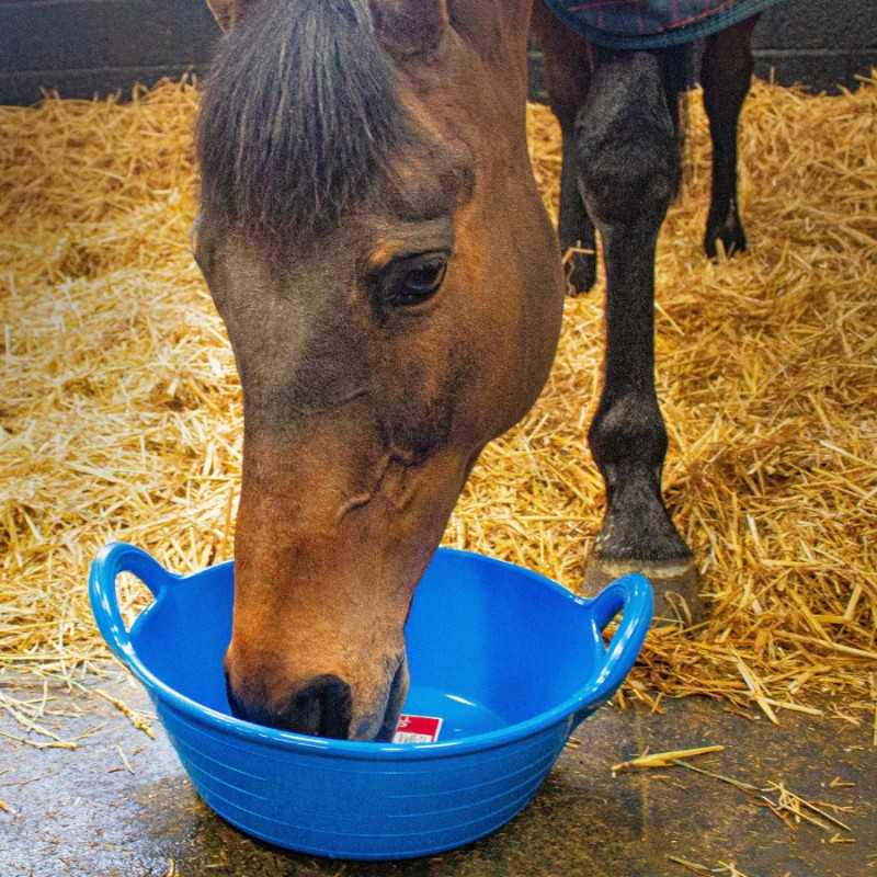Taça azul com cavalo castanho a comer ou beber num estábulo com palha no chão