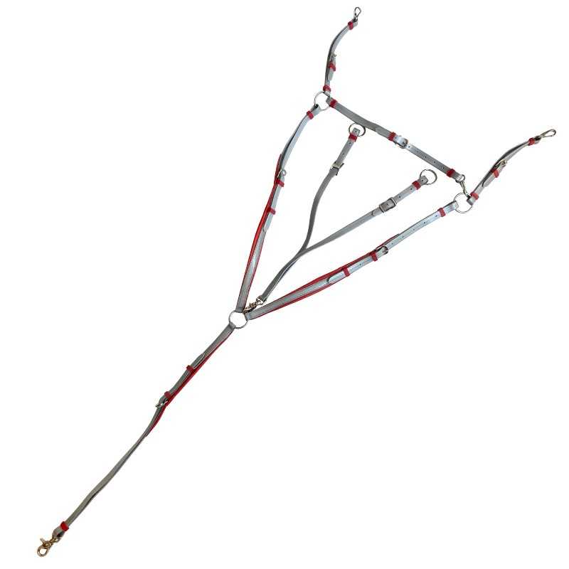 Peitoral para cão cinza e vermelho com ganchos dourados e argolas prateadas