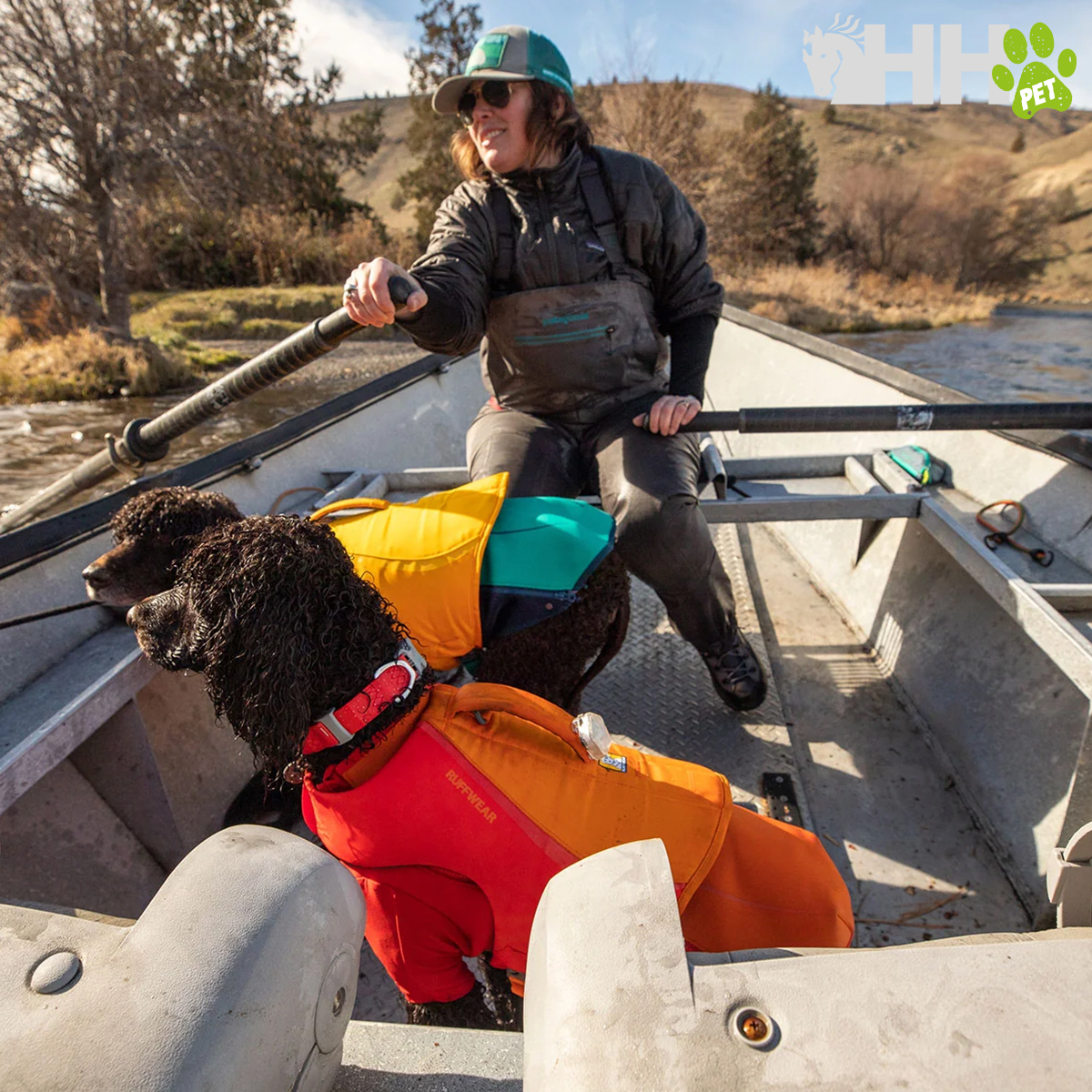 Dois cães com coletes salva-vidas no interior de um barco de alumínio num rio com um homem a remar