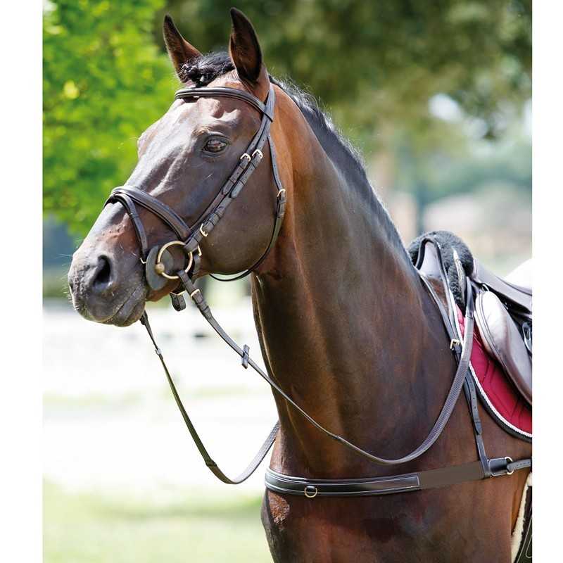 Cavalo castanho com arreios e sela no campo
