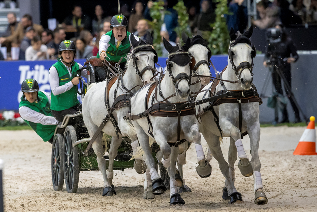 Carroça puxada por quatro cavalos brancos em competição e cavaleiros com coletes verdes