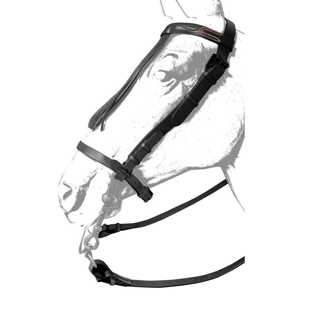 Cabeçada preta para cavalo em couro com fivelas metálicas