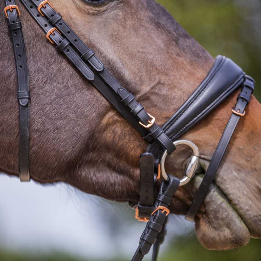 Cabeça de cavalo com cabresto de couro preto com fivelas douradas