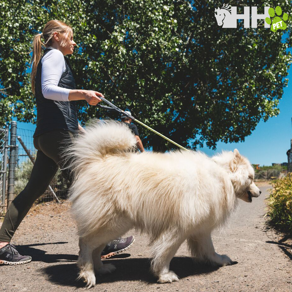 Mulher a passear um cão branco grande ao ar livre num caminho de terra