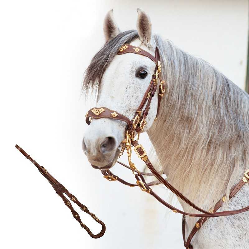 Cabeçada e rédea castanha com detalhes dourados para cavalo