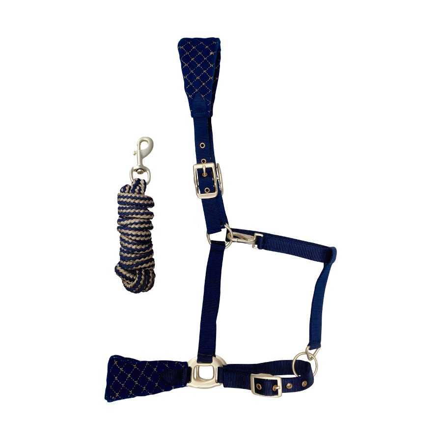 Conjunto de cabresto e cabresto de corda azul para animais com fivela e mosquetão