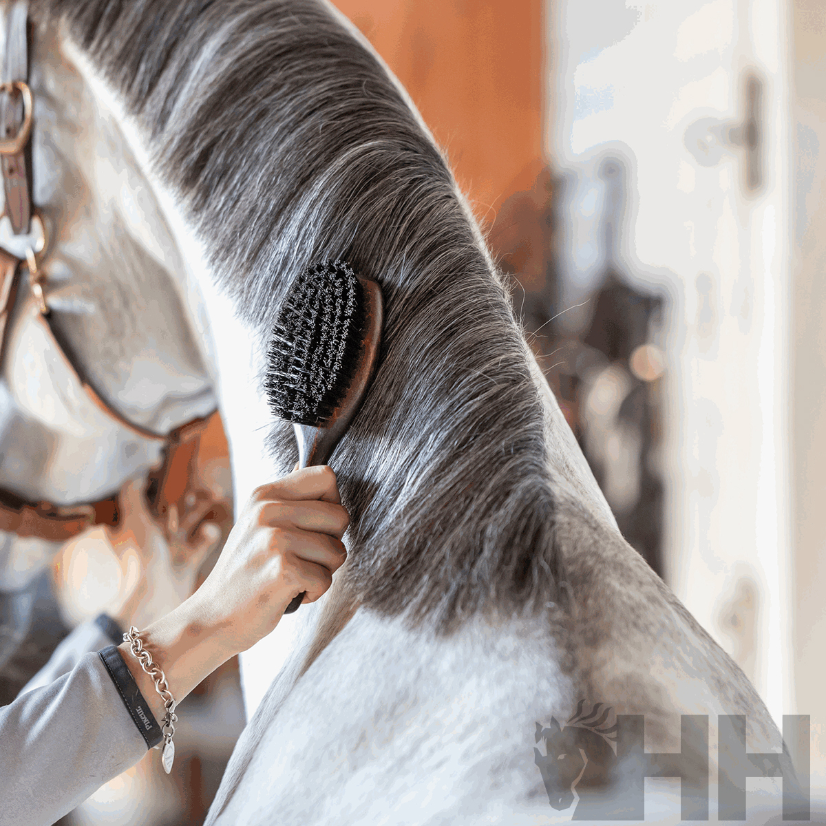 Pessoa a escovar crina de cavalo branco com escova preta