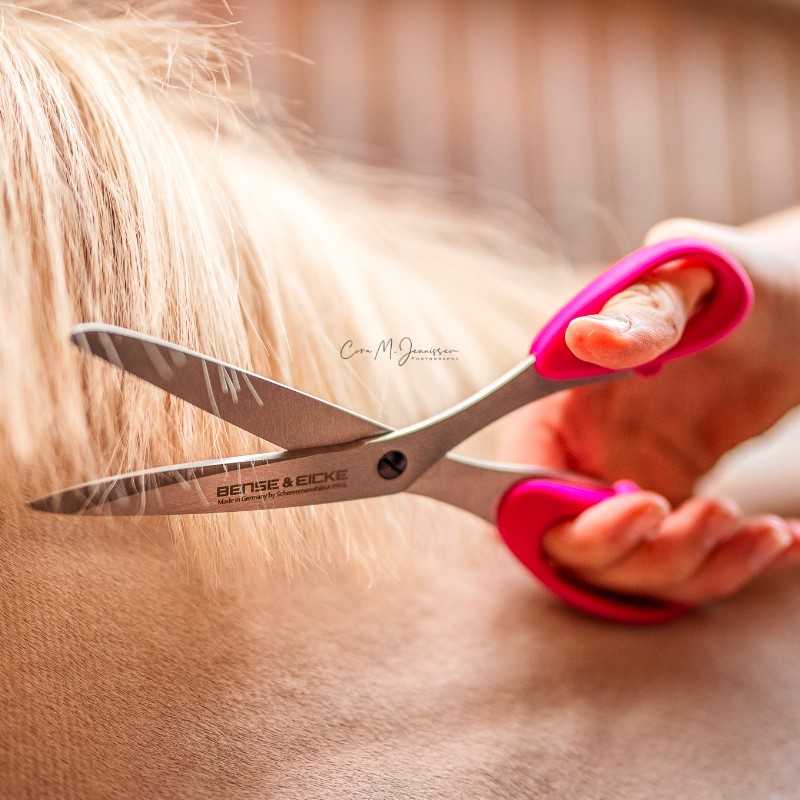 Tesoura com lâminas metálicas e pegadores rosa a cortar pelo de animal claro.