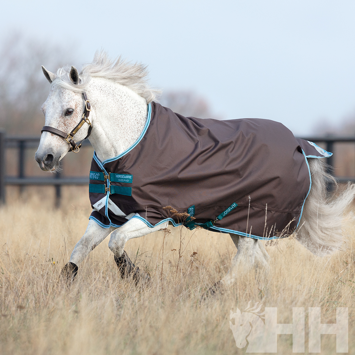 Cavalo branco com manta protetora castanha escura e detalhes azul-turquesa a correr em campo