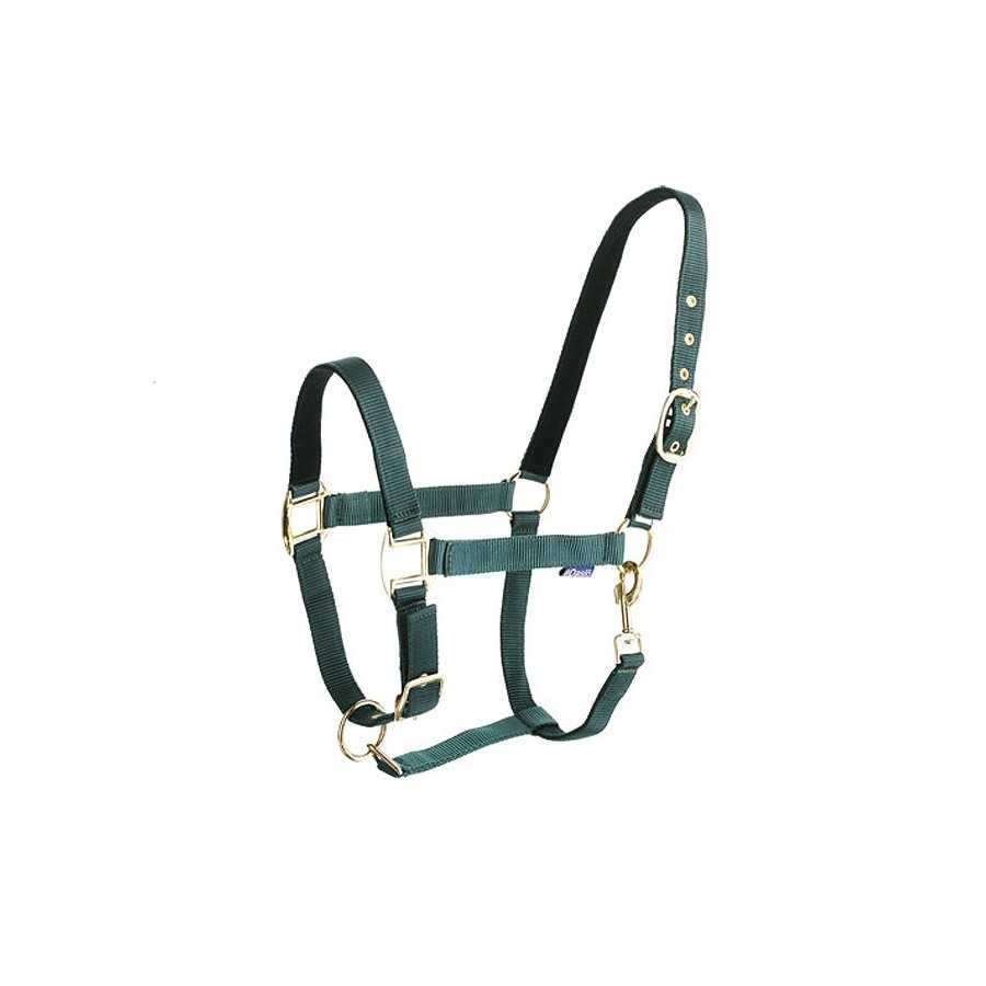 Cabresto de cavalo verde com fivelas douradas