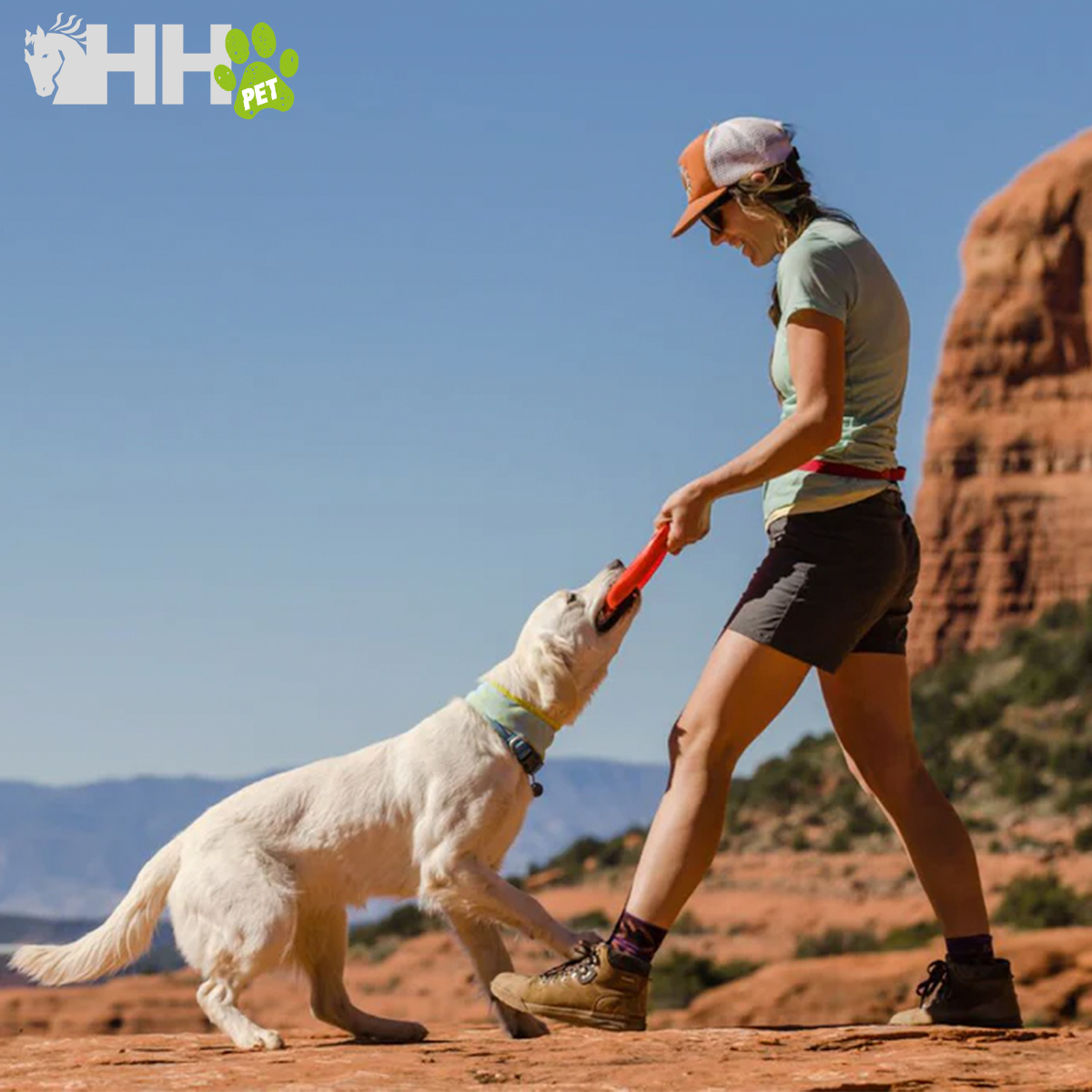 Mulher a brincar com cão branco num cenário desértico com brinquedo vermelho