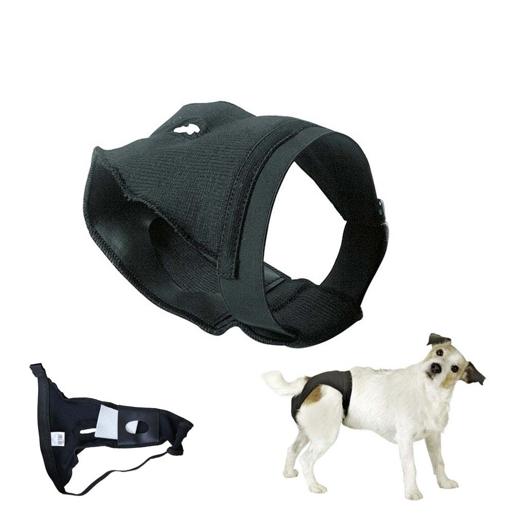 Fralda reutilizável preta para cão, com velcro, em fundo branco.