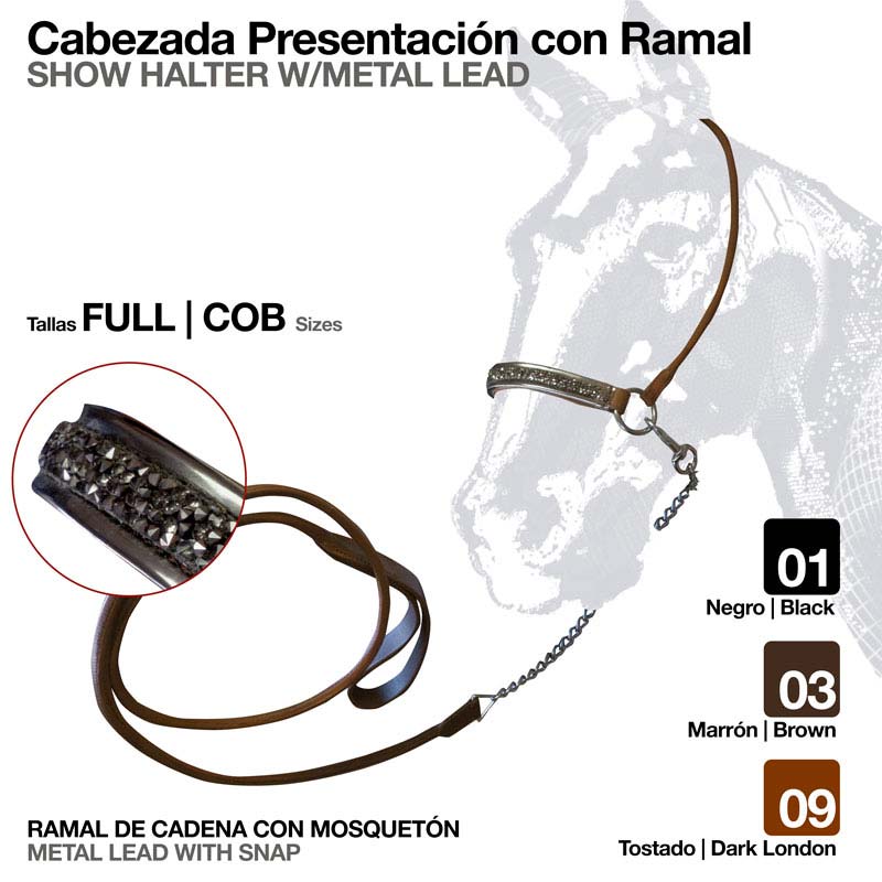 Cabeçada de apresentação para cavalo com ramal de cadeia metálica