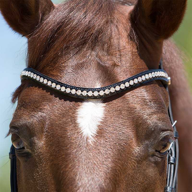 Cabeça de cavalo castanho com marca branca e embocadura preta com cristais