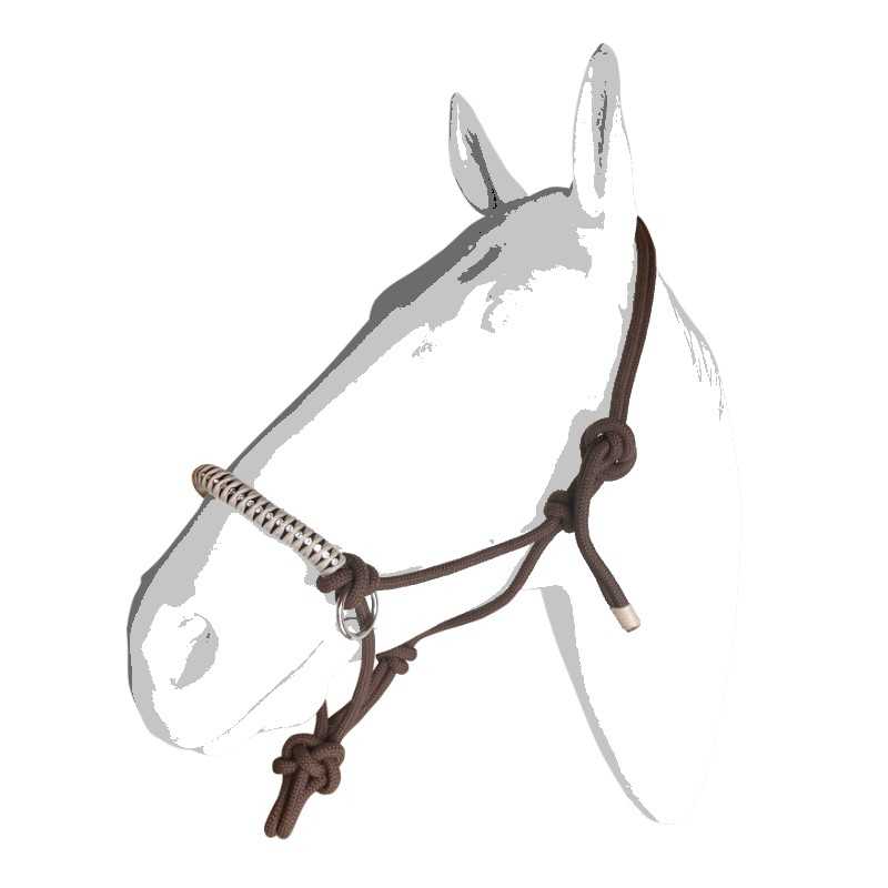 Cabeça de cavalo branco com cabresto de corda castanho e branco