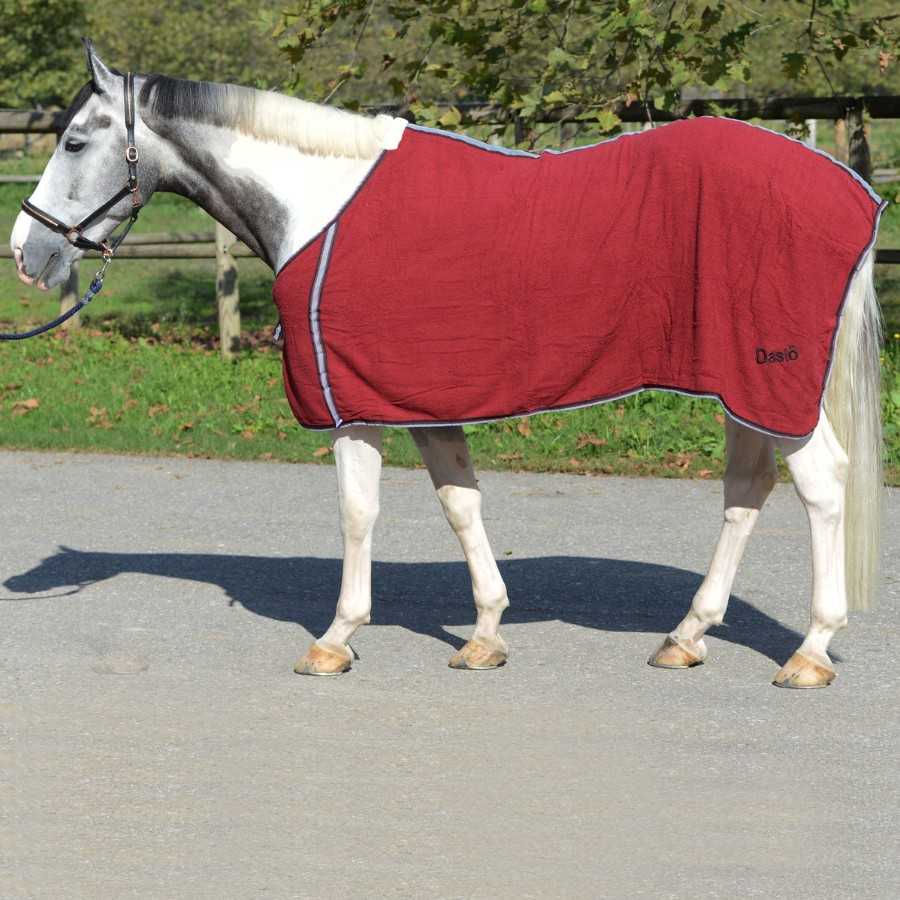 Cavalo com manta vermelha em ambiente exterior