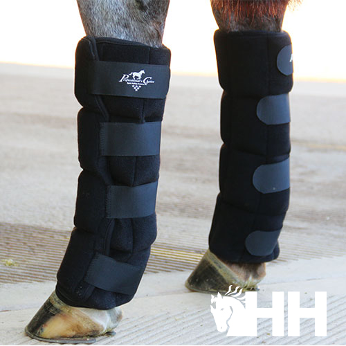 Botas de proteção pretas em pernas de cavalo com velcro