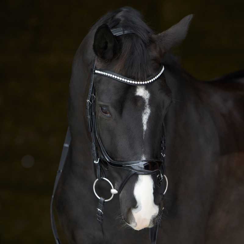 Cavalo preto com listra branca e rédea de couro preta com strass