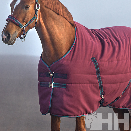 Cavalo com manta acolchoada bordeaux e detalhes em preto ao ar livre