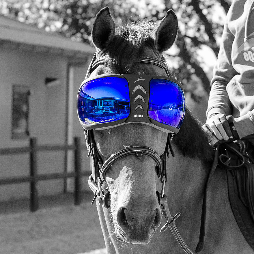 Cavalo com óculos refletivos azuis e bridão, pessoa a segurar rédeas ao lado