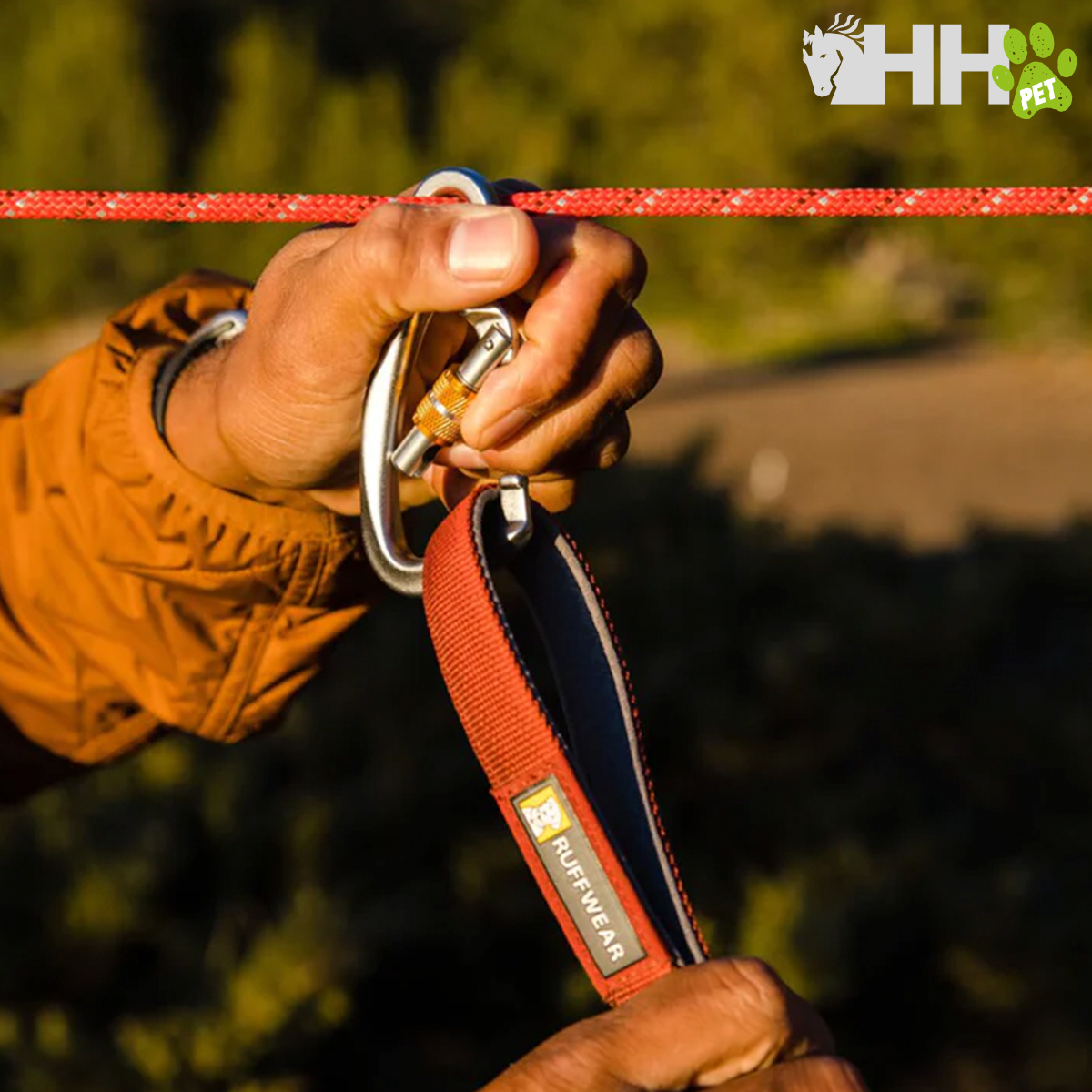 Coleira vermelha para cão com mosquetão e mãos segurando, fundo desfocado e logotipo HH PET