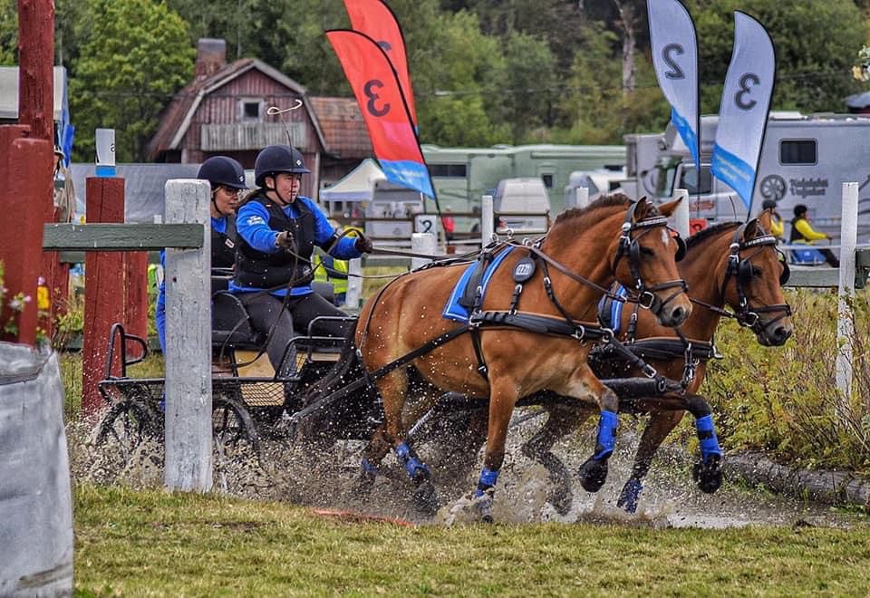Dois cavalos castanhos puxando carruagem, pessoas com capacetes e roupas azuis e pretas