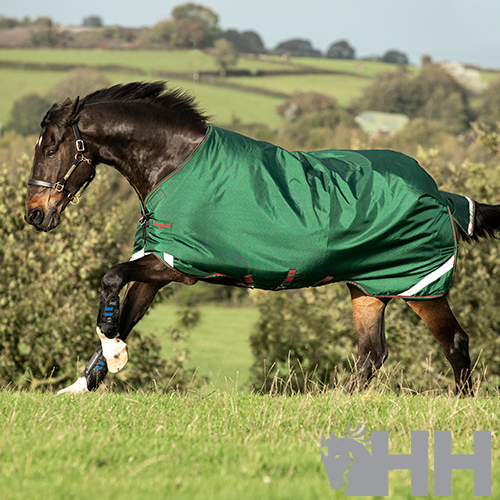 Cavalo castanho com cobertor verde a correr em campo aberto