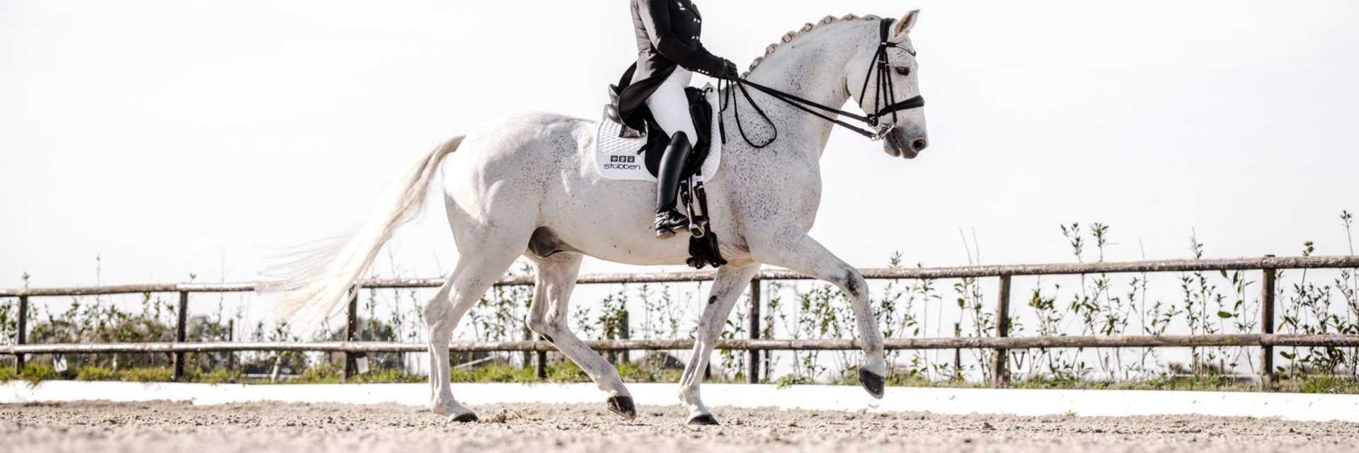 Cavalo branco com sela preta e cavaleiro vestido de preto em picadeiro ao ar livre
