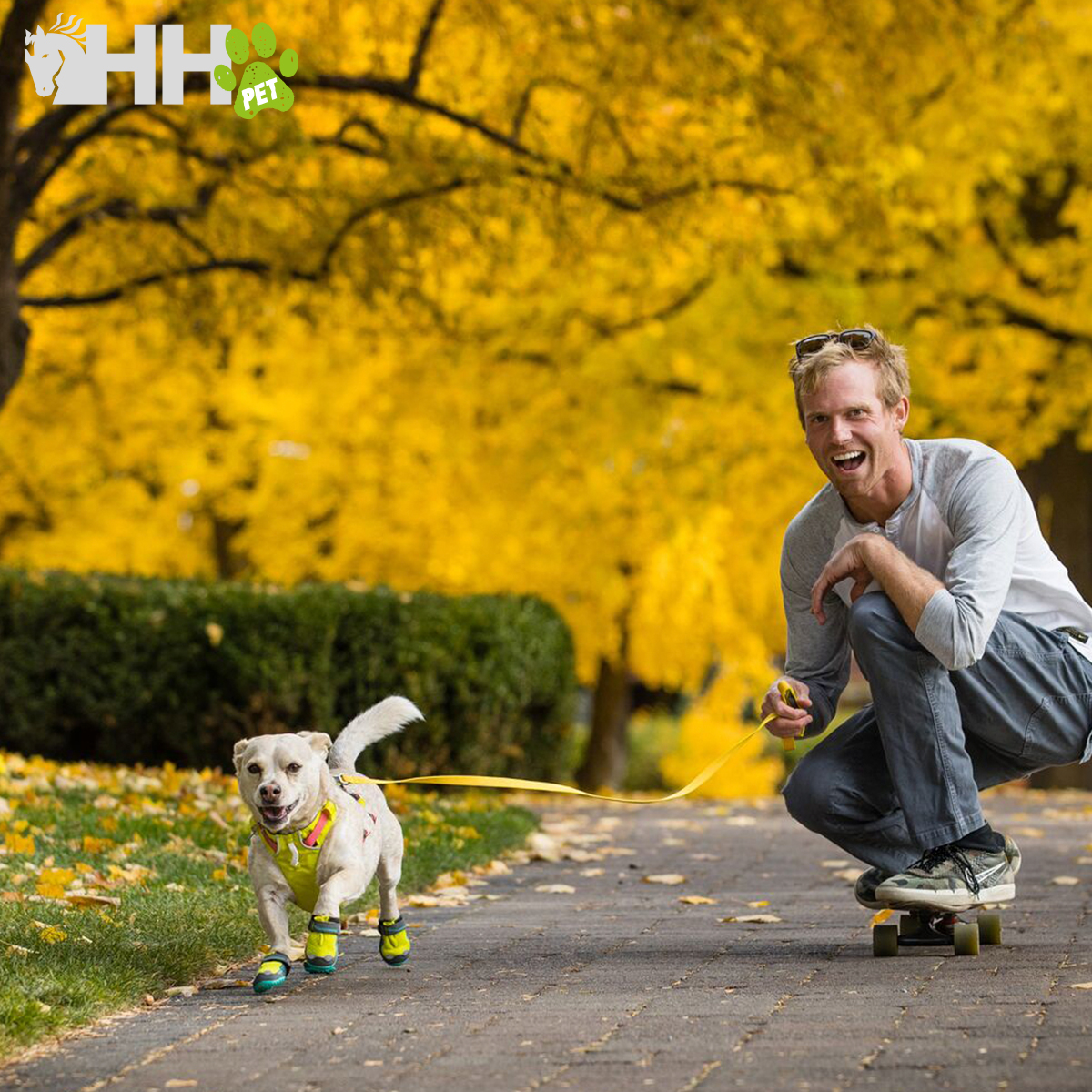 Cão com equipamentos para patas e homem jovem a andar de skate numa calçada com folhas de outono