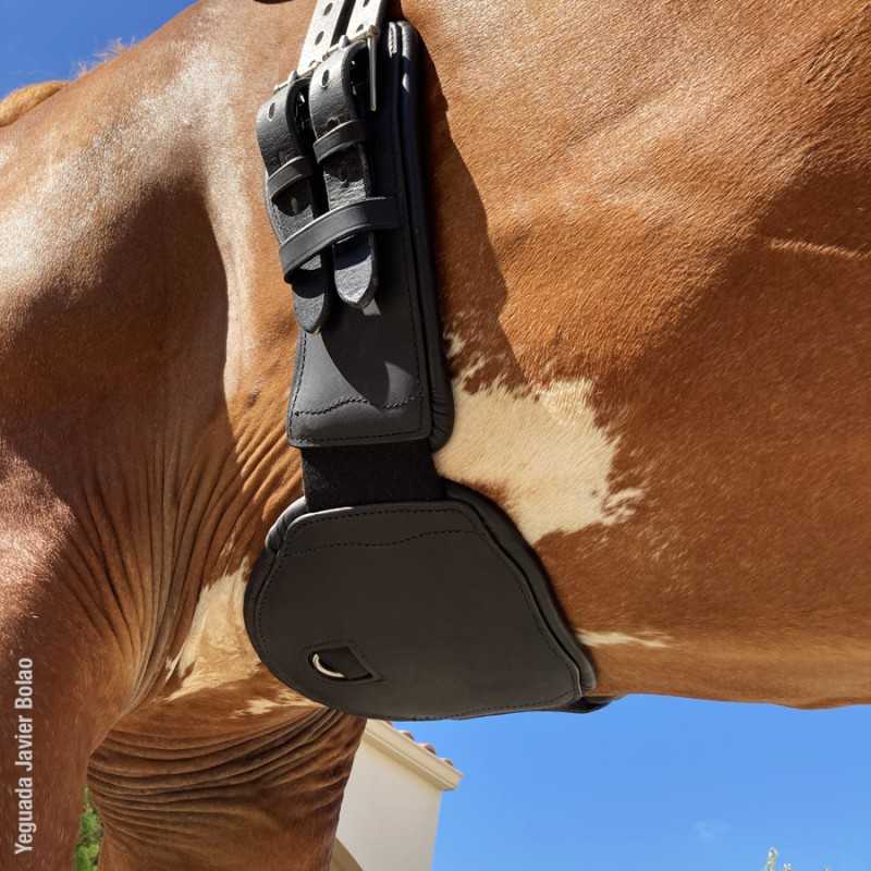 Manta preta para cavalo com fivelas, cavalo castanho com manchas brancas, céu azul