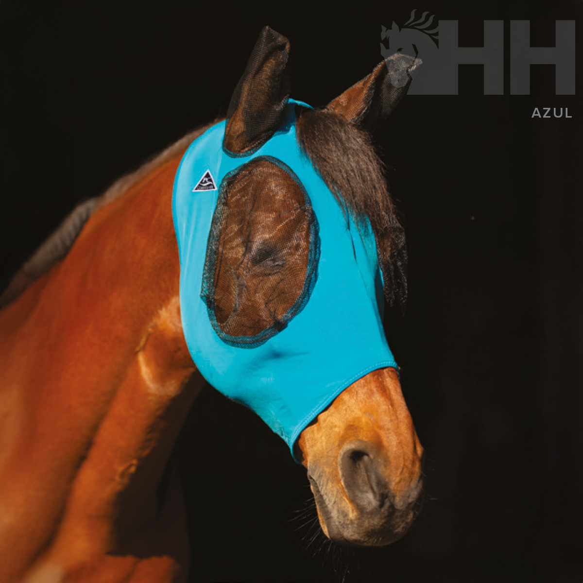 Cavalo castanho com máscara azul para olhos e orelhas em fundo preto