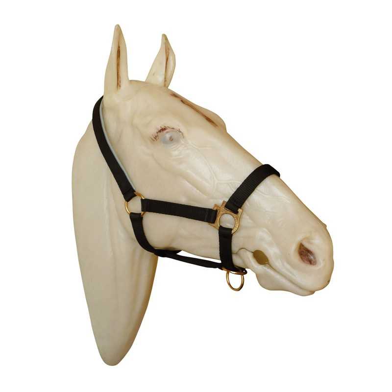 Cabresto preto de nylon numa cabeça de cavalo branca simulada