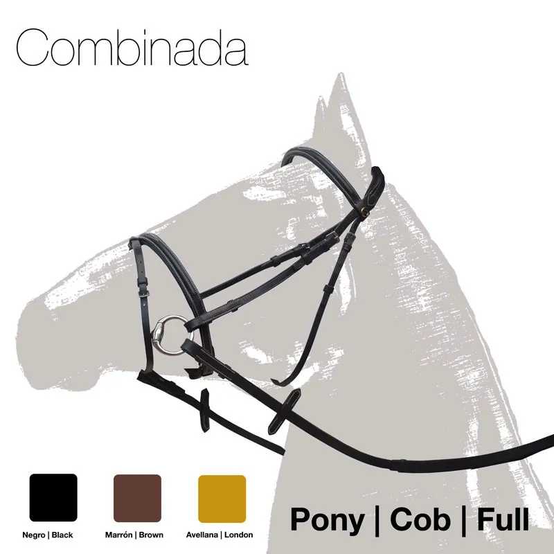 Cabeça de cavalo ilustrada com rédea em várias cores e texto explicativo