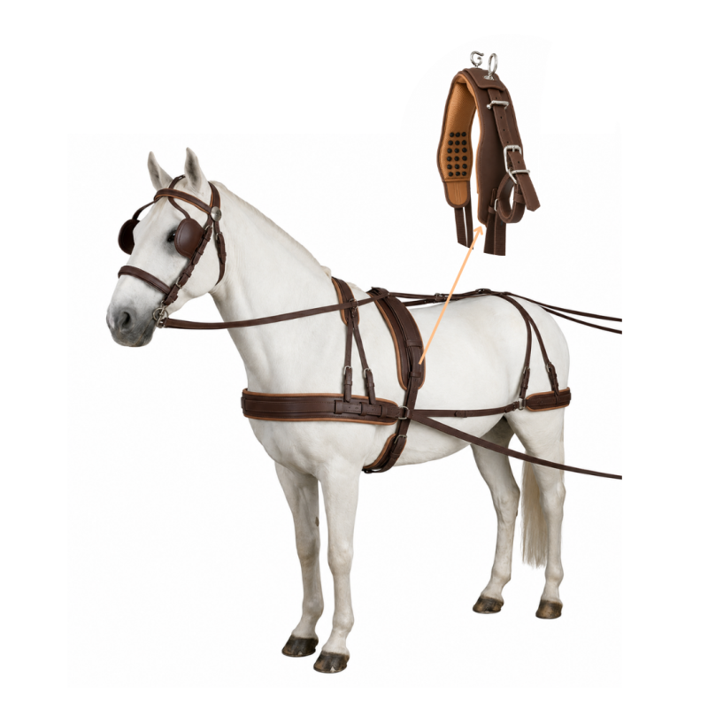 Cavalo branco com arreios de couro castanho e detalhe da alça acolchoada.