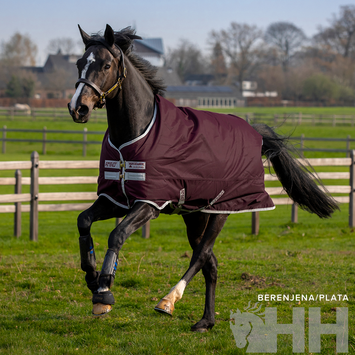 Cavalo vestido com manta bordô em pastagem com cercas de madeira