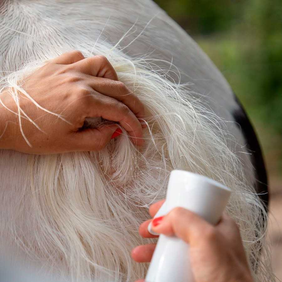 Mão feminina a aplicar spray em cabelo branco comprido.
