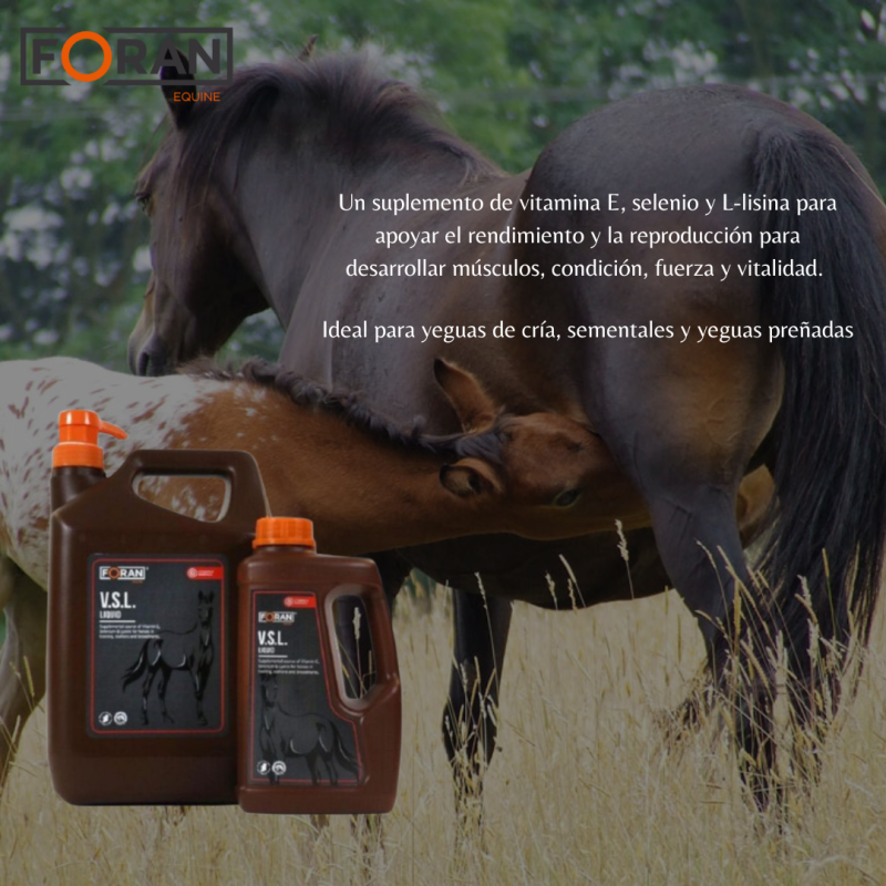 Dois cavalos num campo e dois frascos de suplemento FORAN V.S.L. Líquido