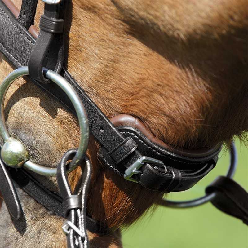 Embocadura metálica e tiras de couro preto e castanho numa cabeça de cavalo castanho