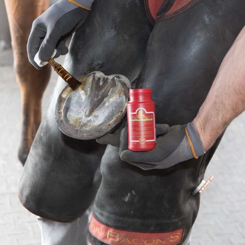 Pessoa aplicando produto em pó vermelho numa ferradura de cavalo com luvas cinzentas, embalagem vermelha e calças pretas com faixa vermelha e amarela